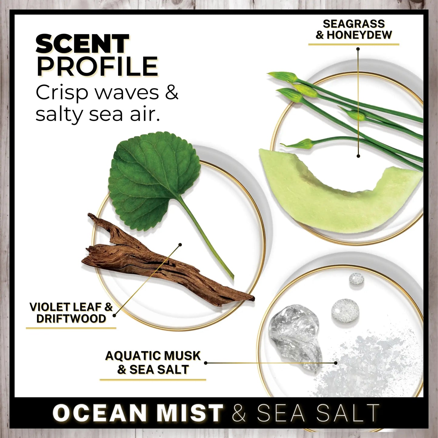 Ocean Mist & Sea Salt