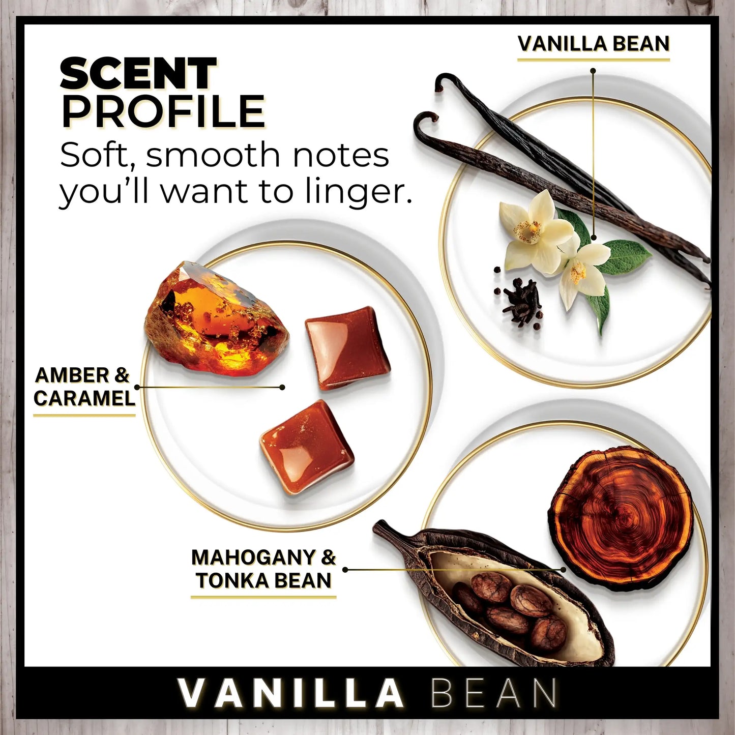 Vanilla Bean