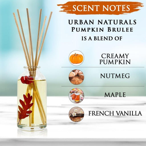 Pumpkin Brulee Reed Diffuser