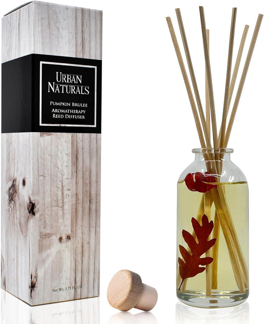 Pumpkin Brulee Reed Diffuser - Urban Naturals