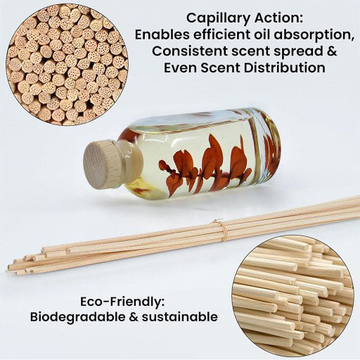 BayRum Sandal wood Reed Diffuser