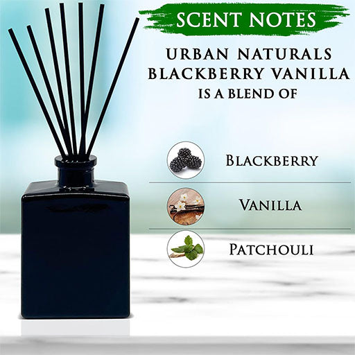 BlackBerry Vanilla Reed Diffuser