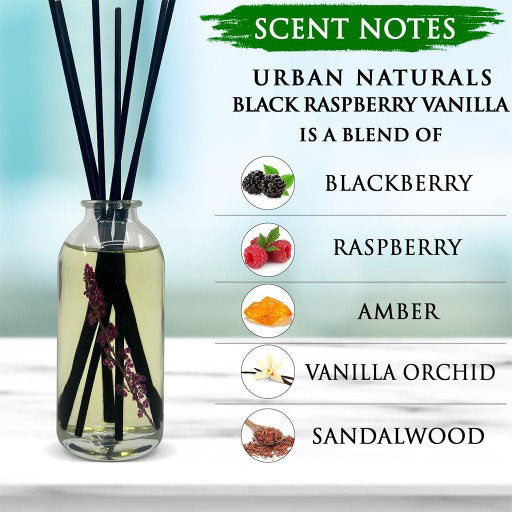 Black Raspberry Vanilla Reed Diffuser