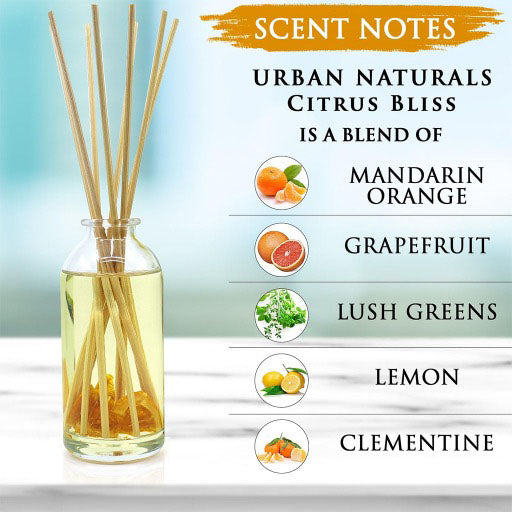 Cinnamon Vanilla Reed Diffuser