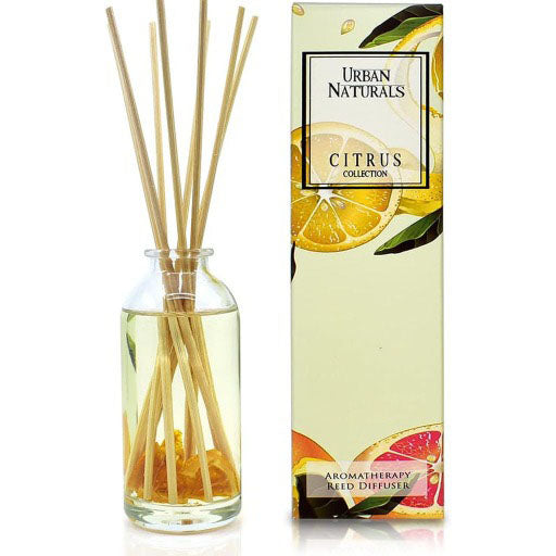 Cinnamon Vanilla Reed Diffuser - Urban Naturals