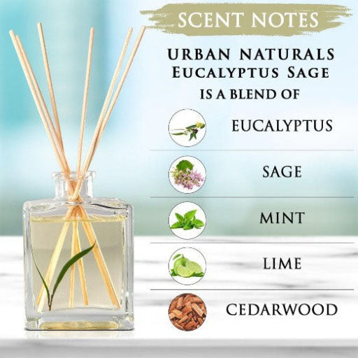 Eucalyptus Sage Reed Diffuser