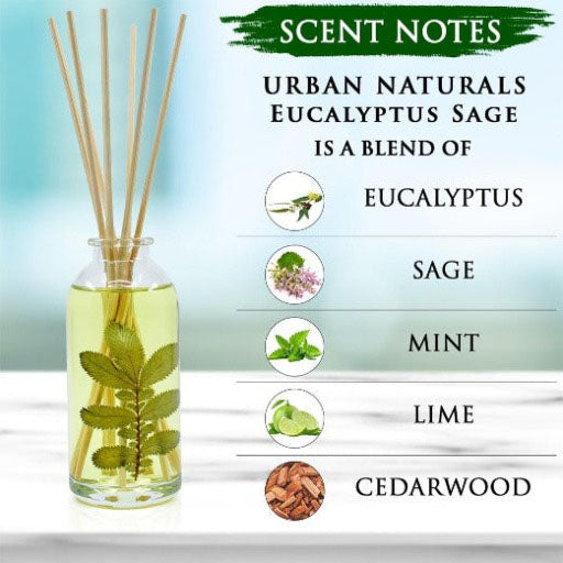 Eucalyptus Sage Reed Diffuser