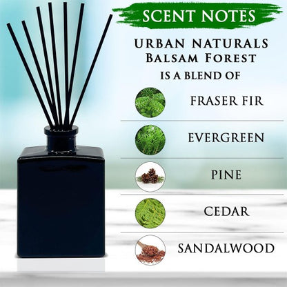Balsam Forest Reed Diffuser