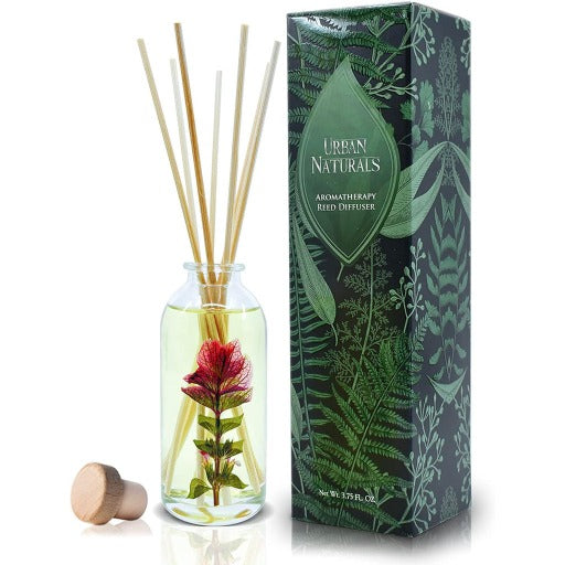 Mountain Berry Breeze Reed Diffuser - Urban Naturals