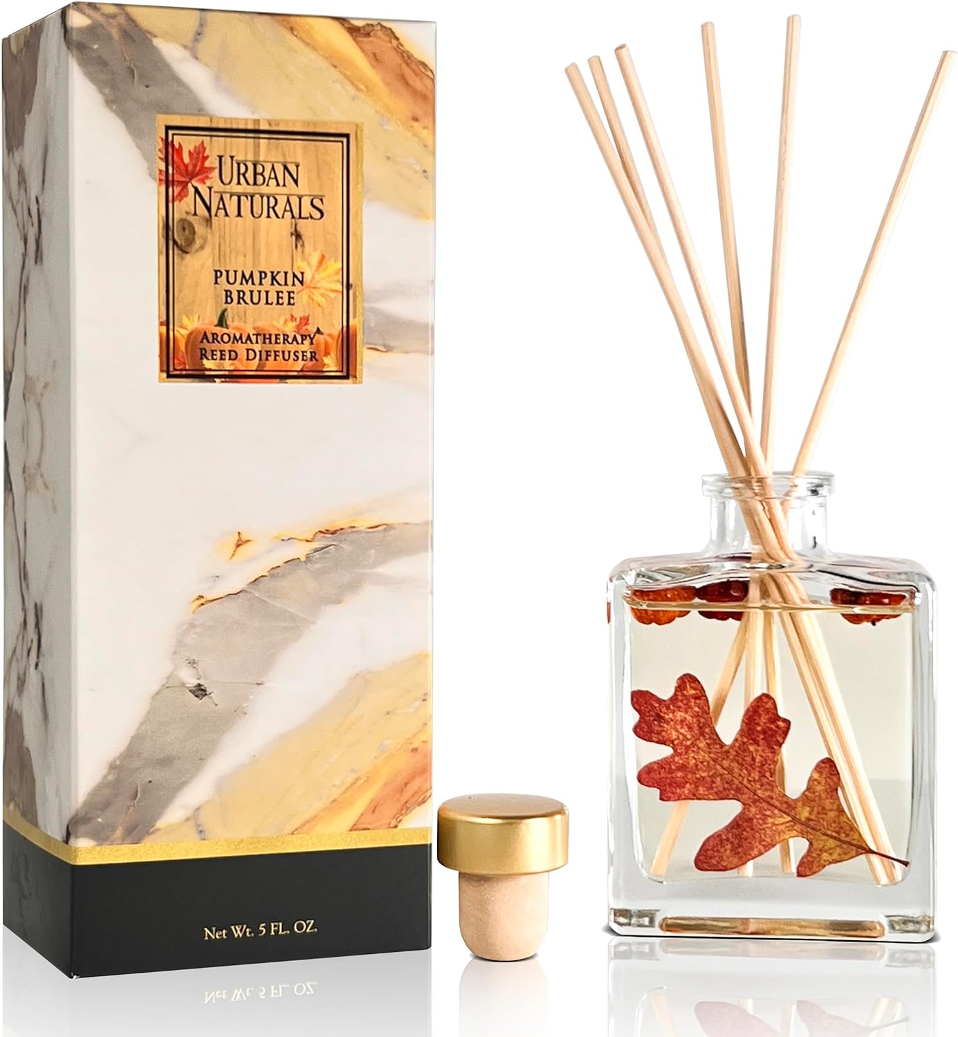 Hover Diffusing Urban Naturals Pumpkin Brulee Reed Diffuser - 5 oz - Urban Naturals