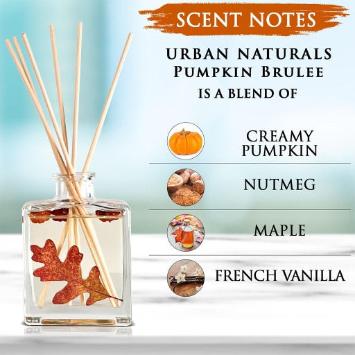 Pumpkin Brulee Reed Diffuser