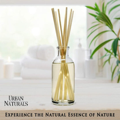 Vanilla Lime Reed Diffuser