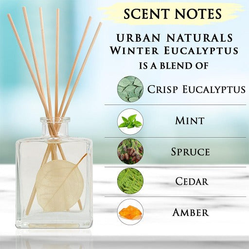 Winter Eucalyptus Reed Diffuser