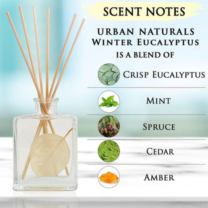 Winter Eucalyptus Reed Diffuser